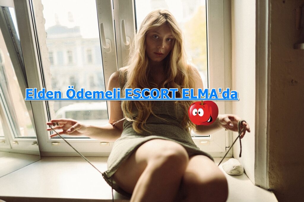 Urfa Üst Düzey İş Adamlarıyla Görüşen Olgun Escort