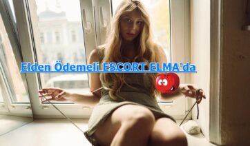 Urfa Üst Düzey İş Adamlarıyla Görüşen Olgun Escort
